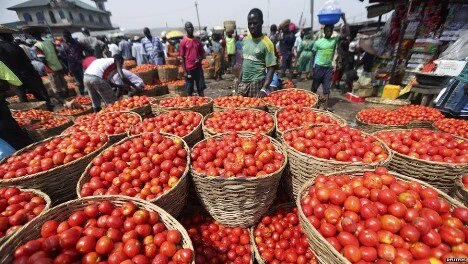 Ghana loses $10m following ban on five vegetable exports