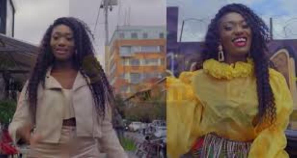 Late Ebony's Fans Retaliated to Wendy Shay’s “Uber Driver” Music Video