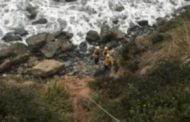 Woman Survives 7 Days After Suv Plunges Off Cliff In Big Sur