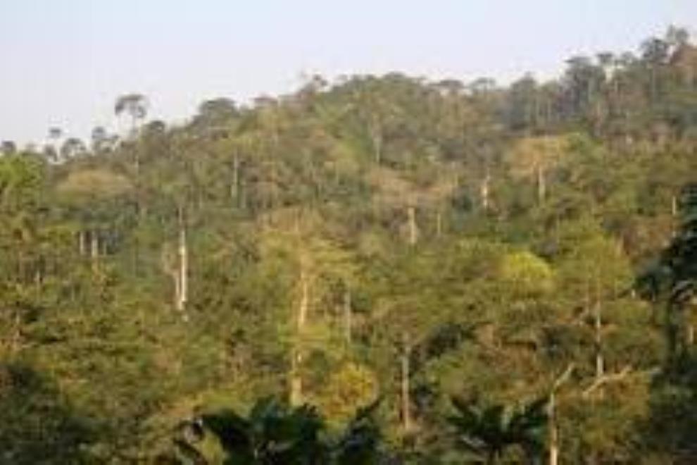 Make Atewa Forest A National Park … Concerned Citizens