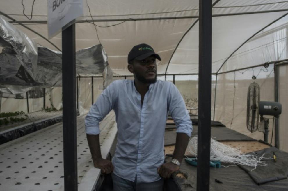Young, rich and ambitious: Nigeria's 'gentleman farmers'