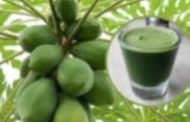 Uses of Papaya Leaf Juice For Glowing Skin And Well-Being
