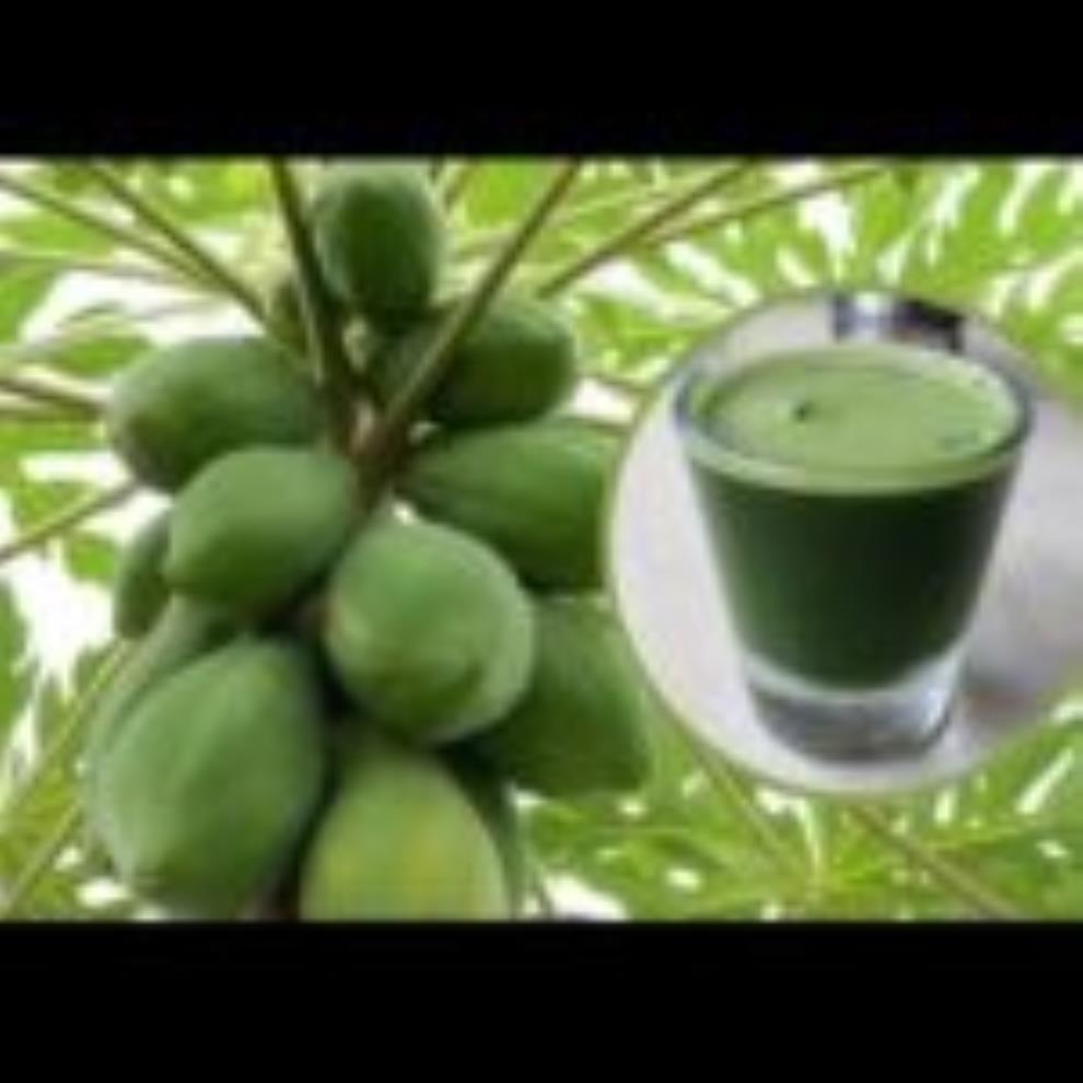 Uses of Papaya Leaf Juice For Glowing Skin And Well-Being