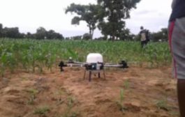 Farmers Resort To Drones To Monitor And Fight Fall Armyworms