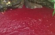 Plague of Blood Red Rivers Suddenly Appears in Multiple Locations