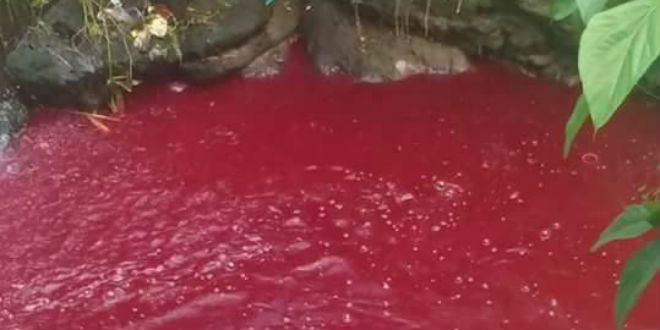 Plague of Blood Red Rivers Suddenly Appears in Multiple Locations