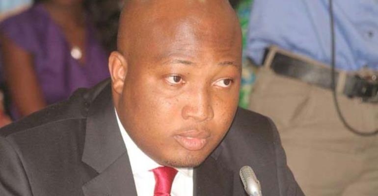 Ablakwa Makes Case For Artificial Insemination Regulation