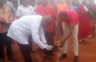 1,200 Dogs Vaccinated For Rabies