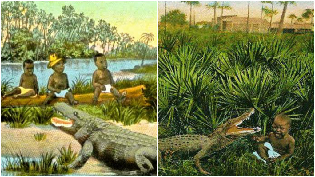 How Black Babies Were Used As Alligator Bait By Hunters In America [Bitter History]