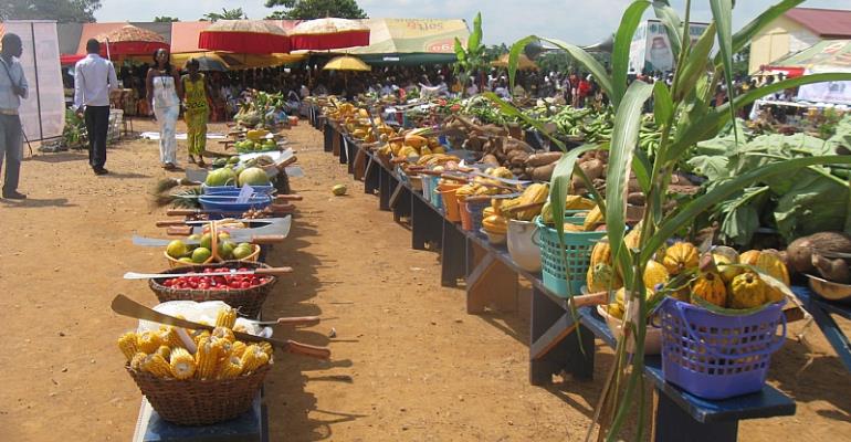 Farmers' Day: Demand Accountability, Good Governance — NDC Urge Farmers