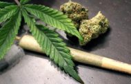 Ghana Legalises Cannabis
